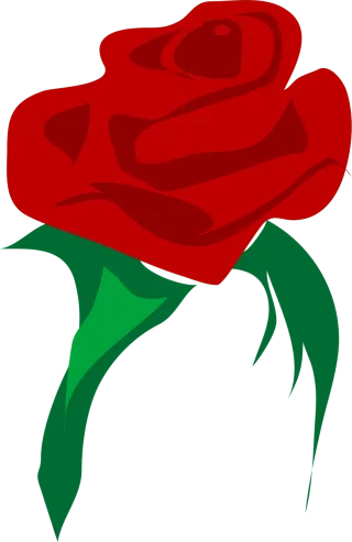 Rose Beautiful flowers Love Stickdatei