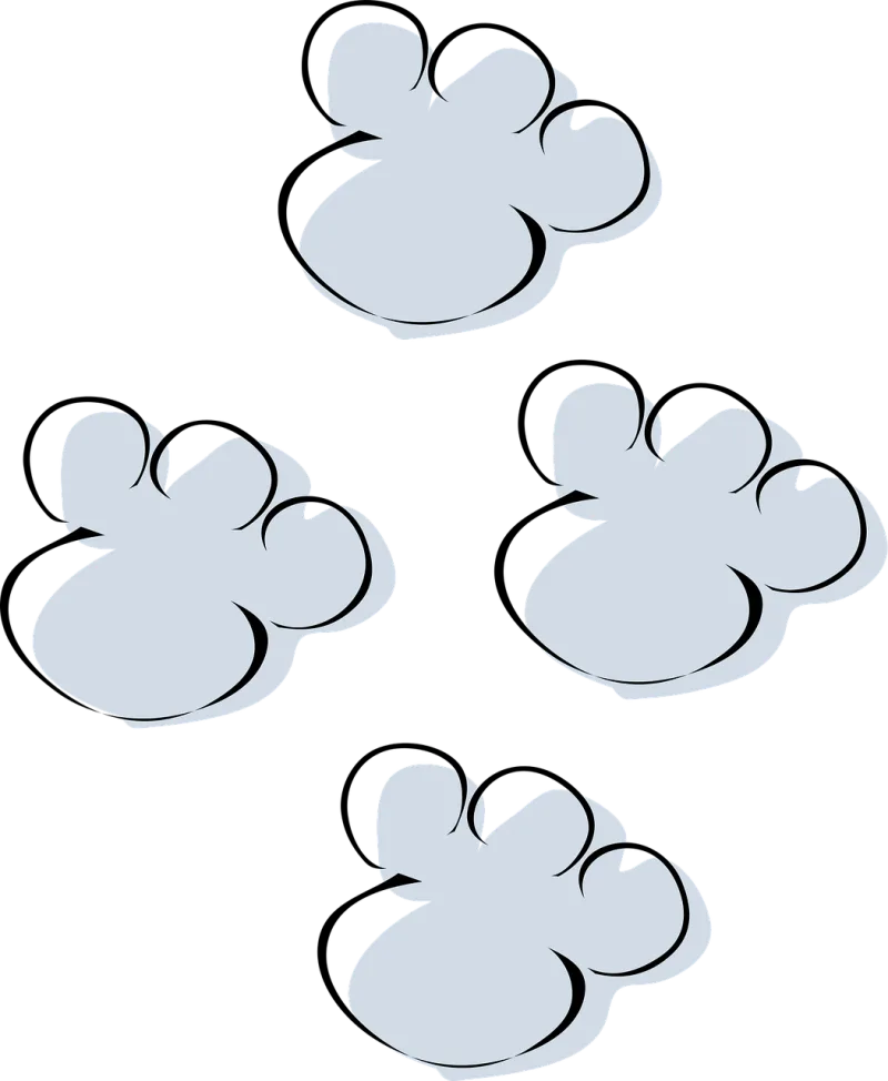 Footprints Snow Traces Stickdatei – Tiere