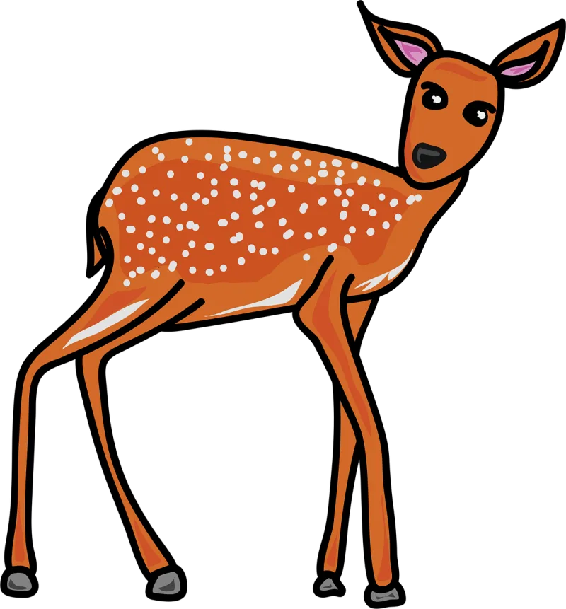 Animal Wildlife Deer fawn Stickdatei – Tiere