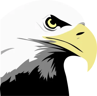Eagle Eyes Face Stickdatei