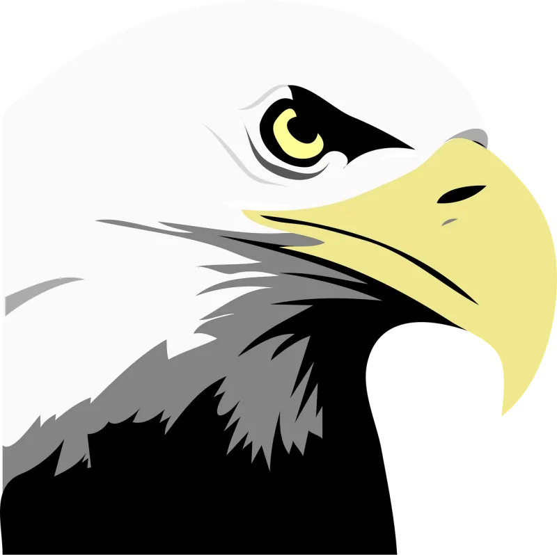 Eagle Eyes Face Stickdatei – Natur
