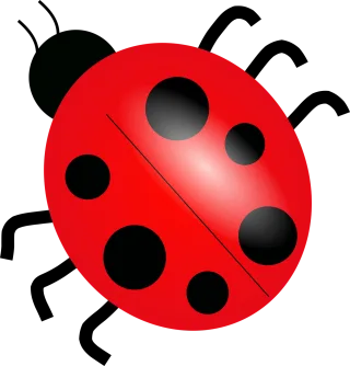 Ladybug Ladybird Bug Stickdatei