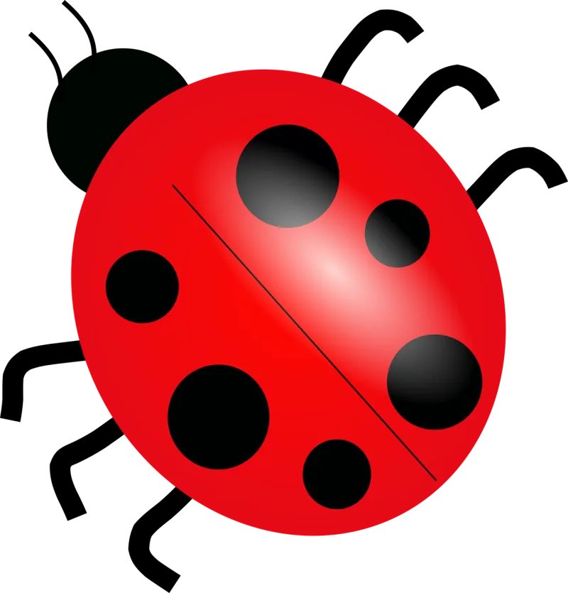 Ladybug Ladybird Bug Stickdatei – Tiere