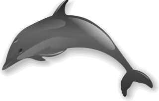 Dolphin Animal Sea Stickdatei