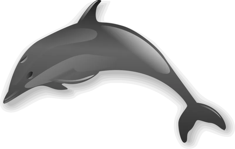 Dolphin Animal Sea Stickdatei – Tiere