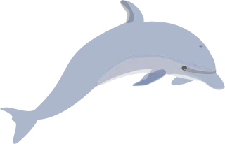Dolphin Mammals Swimming Stickdatei