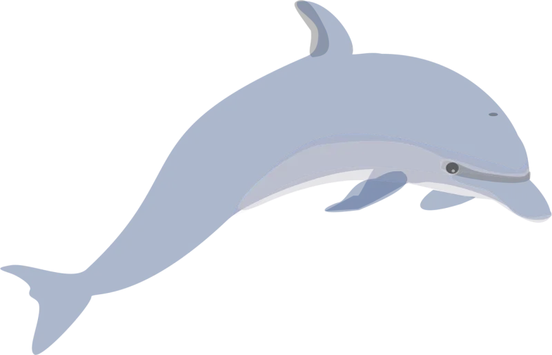 Dolphin Mammals Swimming Stickdatei – Tiere