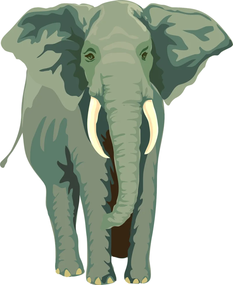 Elephant Nature Animal Stickdatei – Tiere
