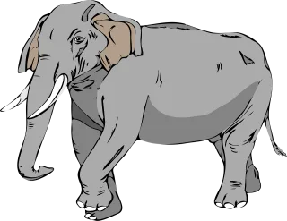 Elephant Large Animal Stickdatei