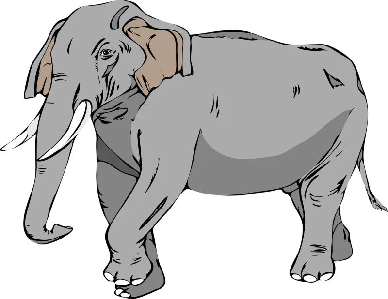 Elephant Large Animal Stickdatei – Tiere