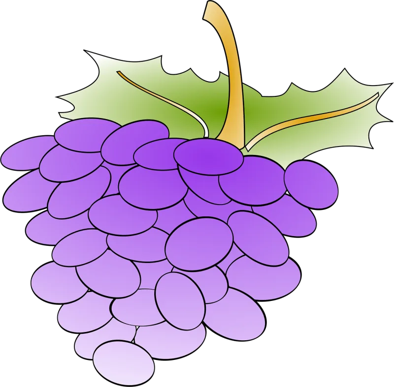 Grapes Vine Produce Stickdatei – Essen & Trinken
