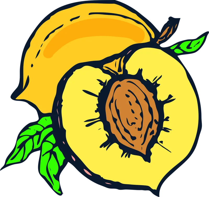 Peaches Pit Sliced Stickdatei – Essen & Trinken
