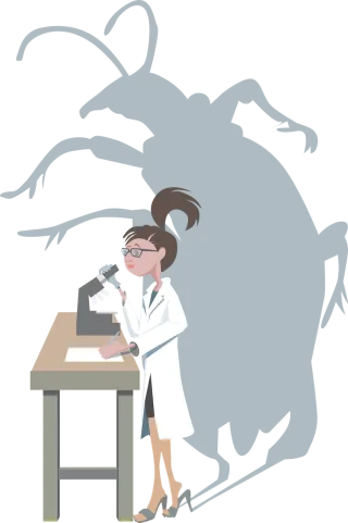 Bug Research Female Stickdatei