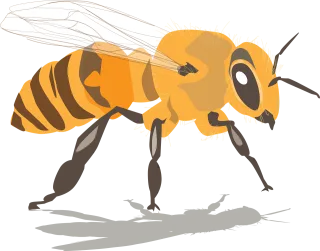 Bee Honeybee Insect Stickdatei