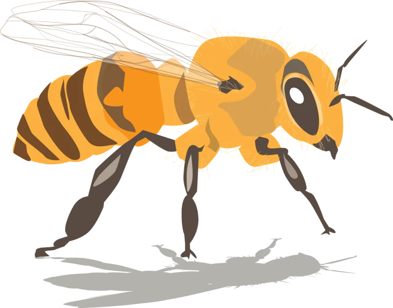 Bee Honeybee Insect Stickdatei – Tiere