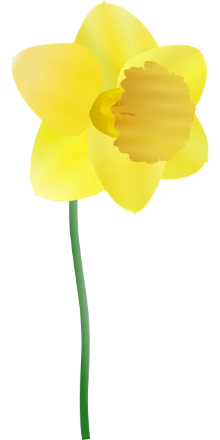 Daffodil Flower background Yellow Stickdatei – Musik