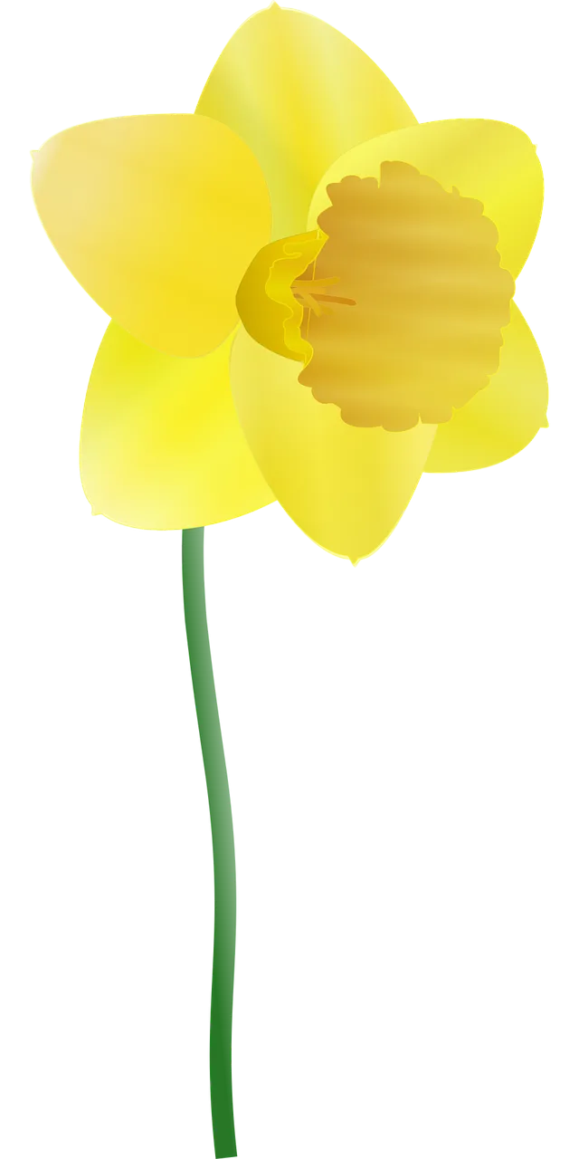 Daffodil Flower background Yellow Stickdatei – Musik