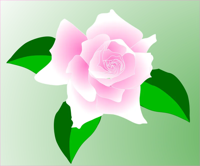 Rose Pink Flower background Stickdatei – Blumen