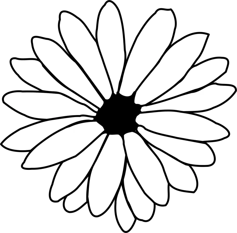 Daisy Outline Black and white Stickdatei – Blumen