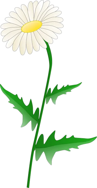 Daisy Stem Flower wallpaper Stickdatei