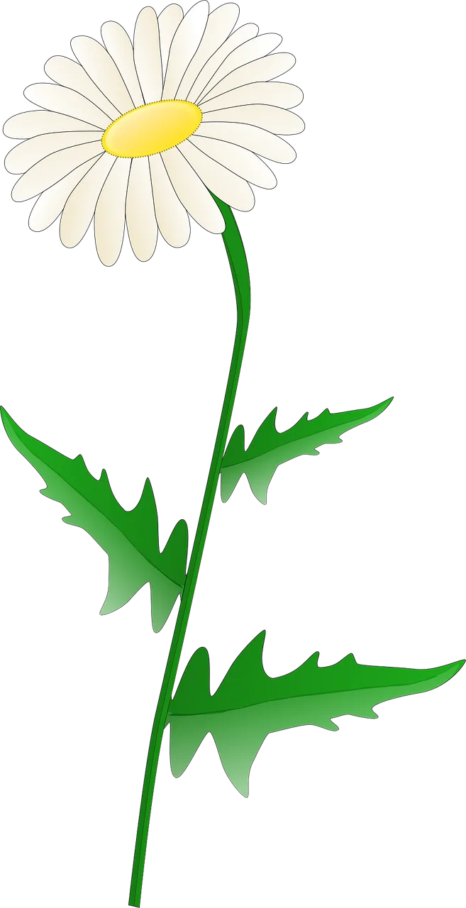Daisy Stem Flower wallpaper Stickdatei – Blumen