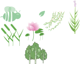 Plant Lotus Wicker Stickdatei – Blumen