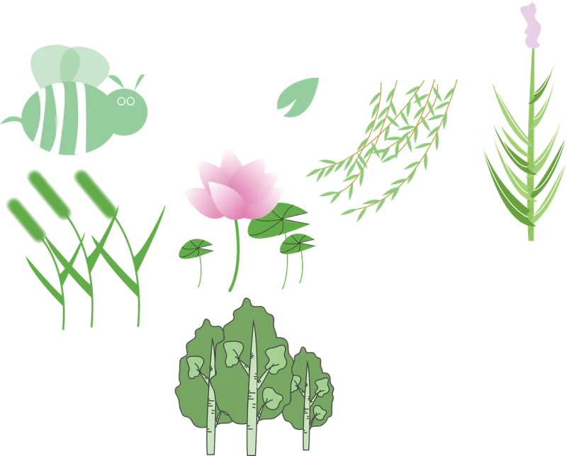 Plant Lotus Wicker Stickdatei – Blumen