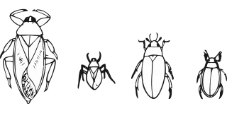 Beetle Bug Insect Stickdatei – Tiere