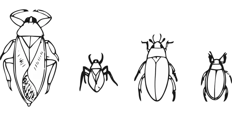 Beetle Bug Insect Stickdatei – Tiere