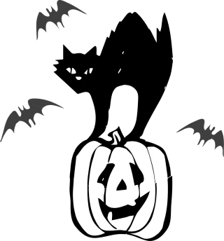 Jack o lantern Black cat Pumpkin Stickdatei
