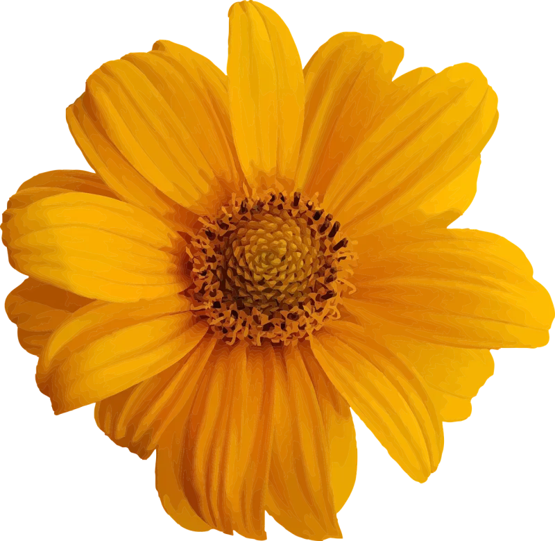 Annotation Art Artistic Stickdatei – Blumen