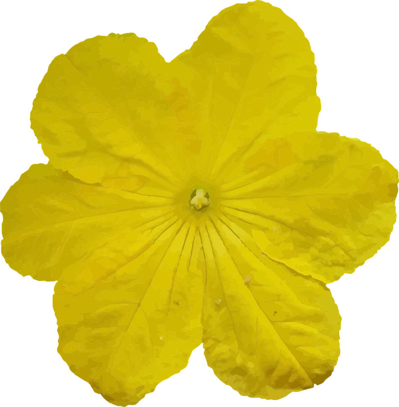 Annotation Art Artistic Stickdatei – Blumen