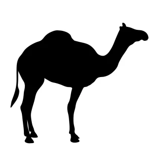 Camel Animal Silhouette Stickdatei