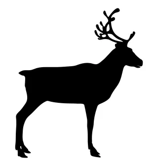 Reindeer Animal Wild Stickdatei