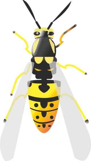 Bee Honey Bug Stickdatei