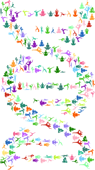 Dna Deoxyribonucleic acid Yoga Stickdatei