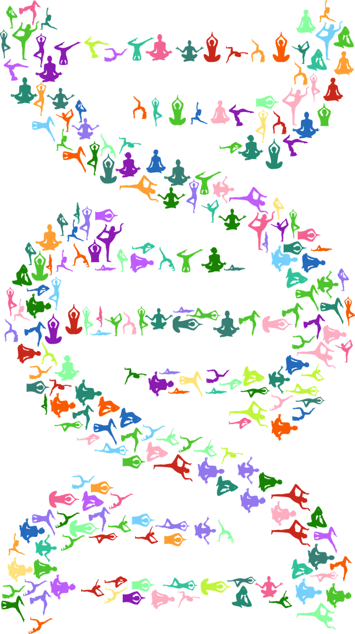 Dna Deoxyribonucleic acid Yoga Stickdatei – Sport