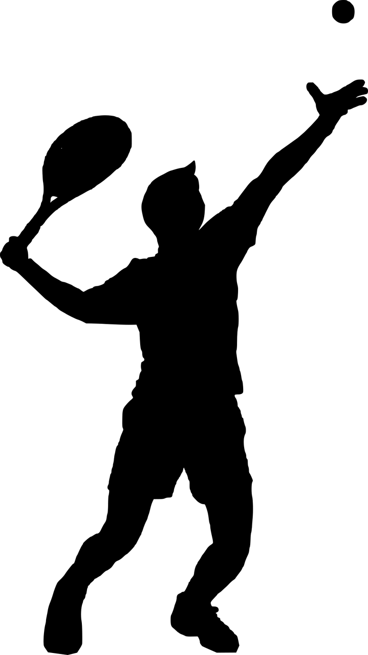 Tennis Man Playing Stickdatei – Sport