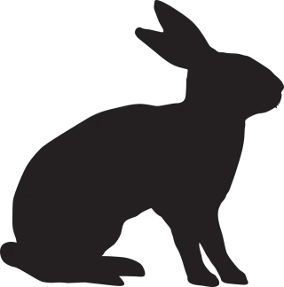 Rabbit Animal Bunny Stickdatei