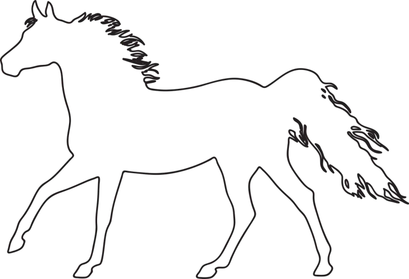 Horse Konik Gallop Stickdatei – Tiere