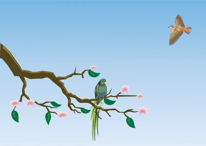 Birds Bird flight Bird Stickdatei – Tiere
