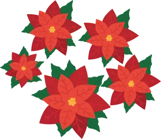 Christmas star Flower wallpaper Flower Stickdatei