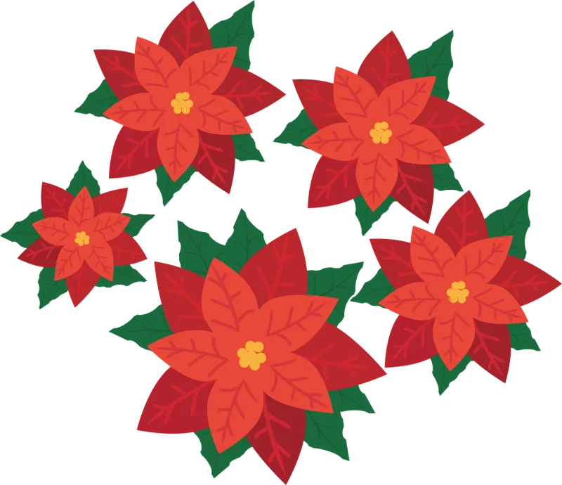 Christmas star Flower wallpaper Flower Stickdatei – Natur