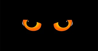 Eyes Cat's eyes Cat Stickdatei
