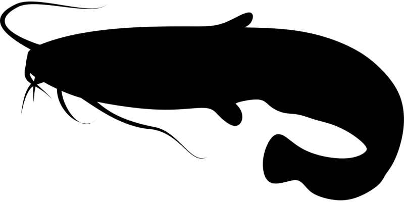 Fish Catfish Pet Stickdatei – Tiere