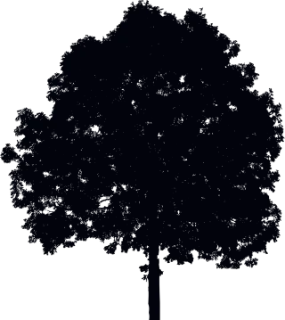 Tree Ecological Environment Stickdatei