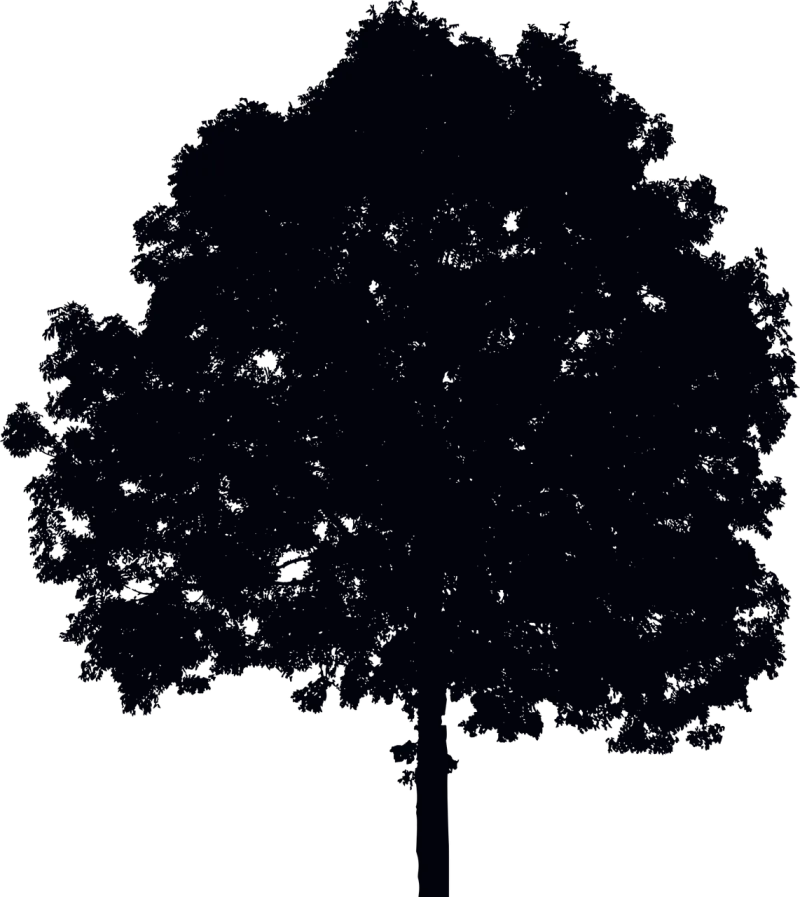 Tree Ecological Environment Stickdatei – Natur