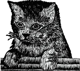 Kitten Cat Pet Stickdatei – Tiere