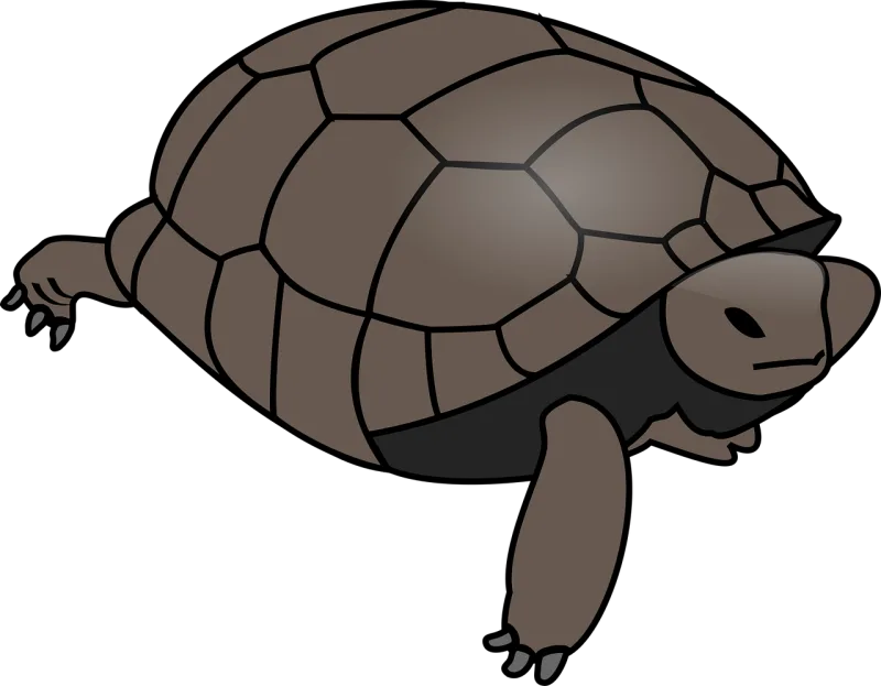 Turtle Tortoise Reptile Stickdatei – Tiere