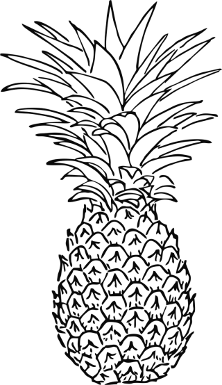 Pineapple Fruit Tropic Stickdatei